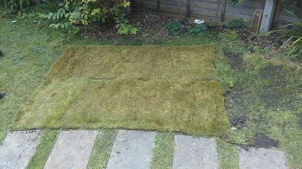 To think DH is ruining the lawn