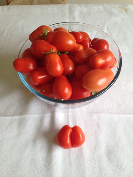 Allotment?Veg Patch Thread 10 - Plotmenters  busy into summer ! and loving James Wong