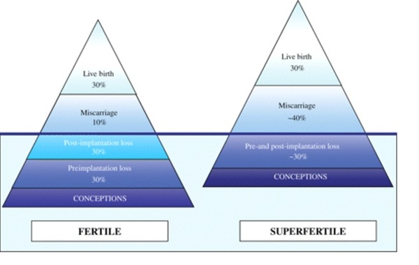 Recurrent miscarriage and conceiving very easily