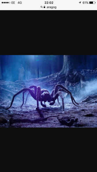 LOOK AT THIS BLOODY THING