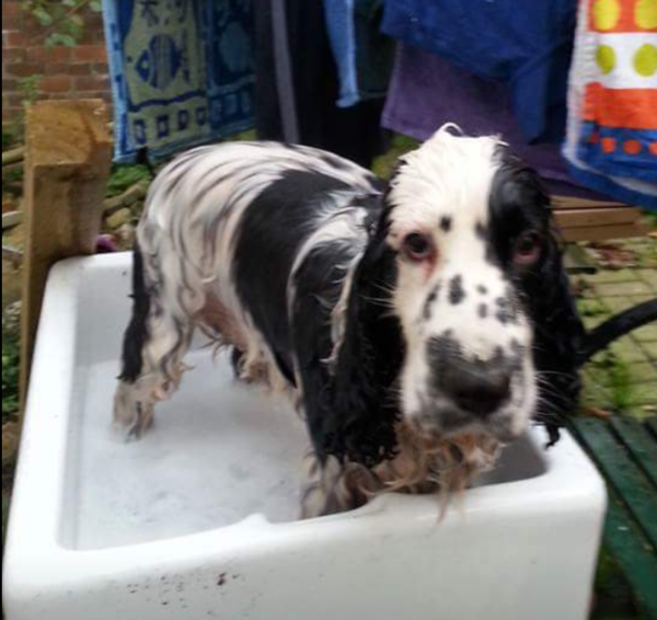 Frugaleers Still Saving  into September