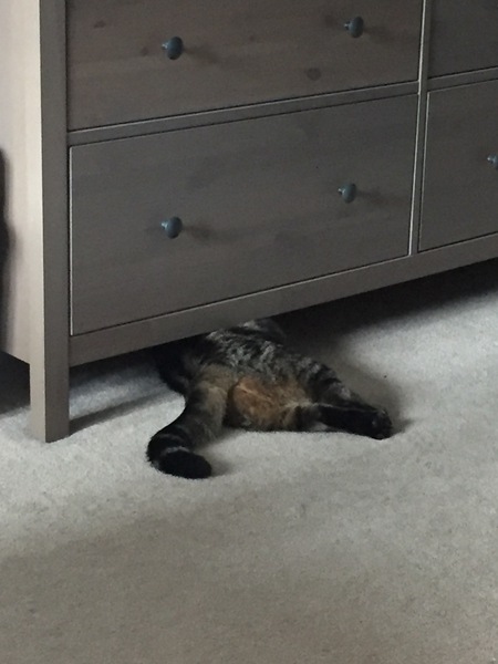 Still frugaleering into Autumn.....