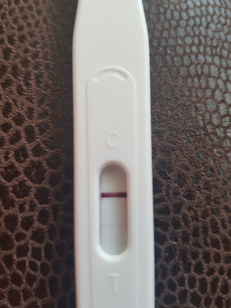 Is anyone else testing this week?