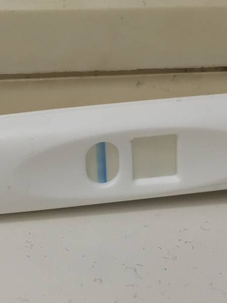 anyone else just fucked off with this lark and want to moan?