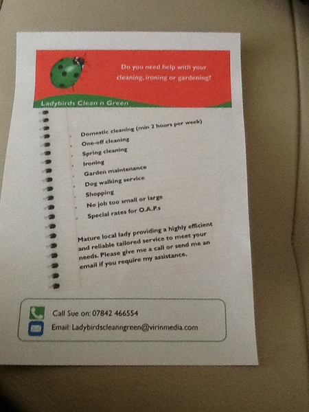 Cleaner recommendations Petts Wood