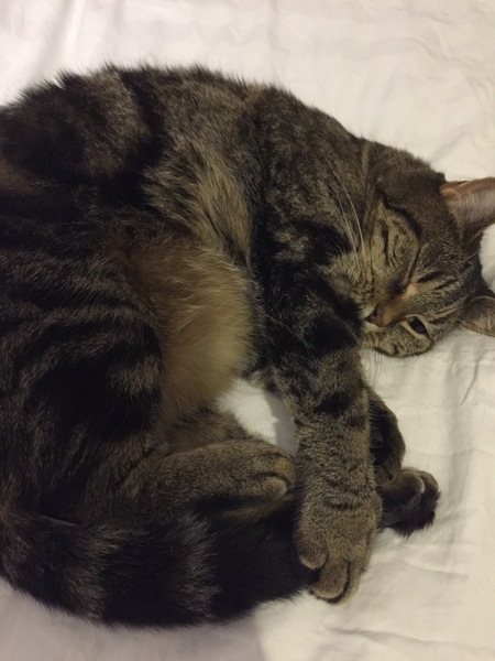 Frugaleers Still Saving  into September