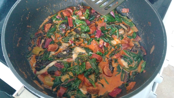 Between bootcamps support thread Summer17