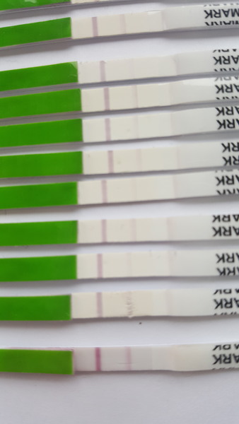 TTC after pregnancy loss - lucky thread 13