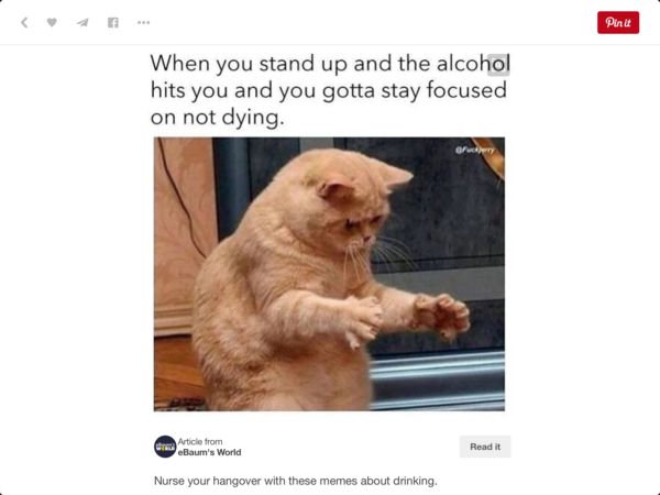 To think cats can't "stand"?!