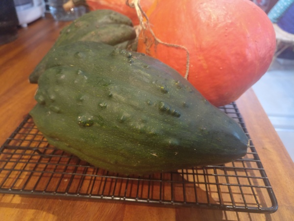 Does anyone recognise this squash?