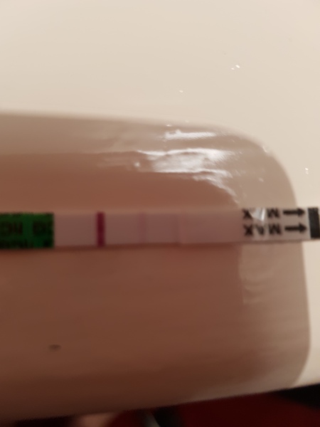 Is anyone else testing this week?