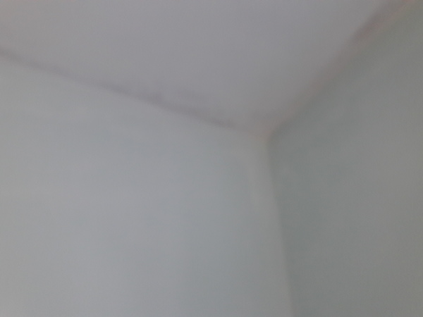 Help! Painting plaster and bad advice from builder.....