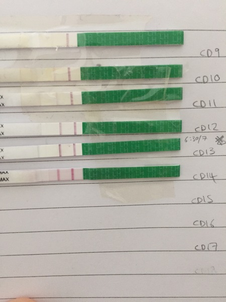 OPK stick advice
