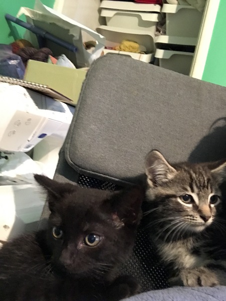 Name suggestions