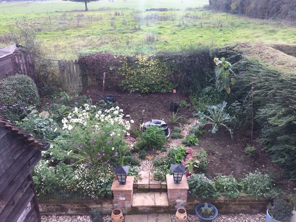Allotment/Veg patch thread 11 'We bid  farewell to rainbow leaves but will keep plotting along'