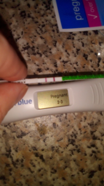 Babies due May 2018