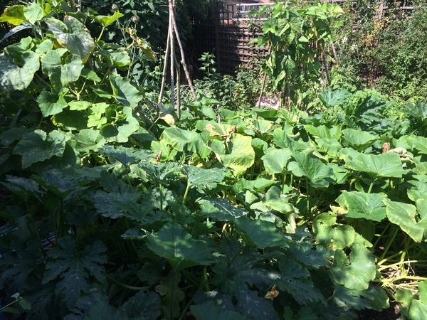 Westminstenders: Russian Chatbots Take Over Brexit Debate