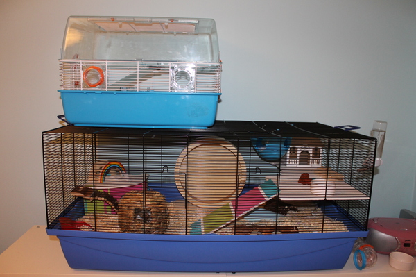 To not want to spend £55 on a hamster cage?