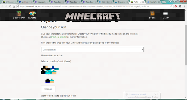 Changing gender on Minecraft