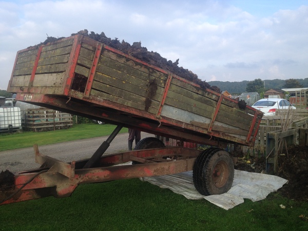 Allotment/Veg patch thread 11 'We bid  farewell to rainbow leaves but will keep plotting along'