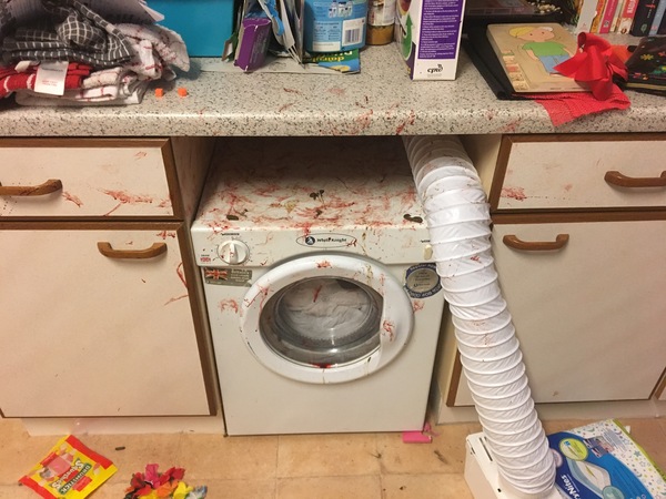 To think my cat might have rabies.