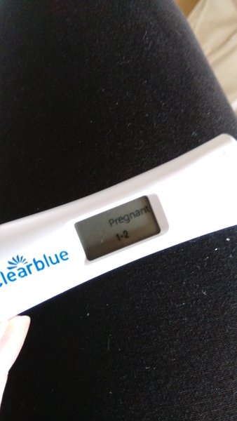 Any mid-sept testers?