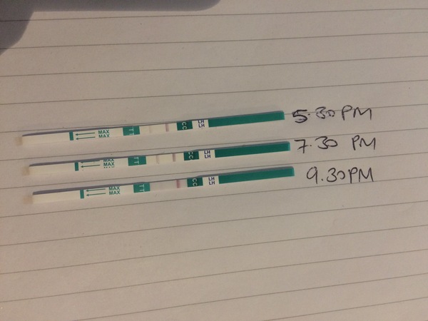 Positive OPK?