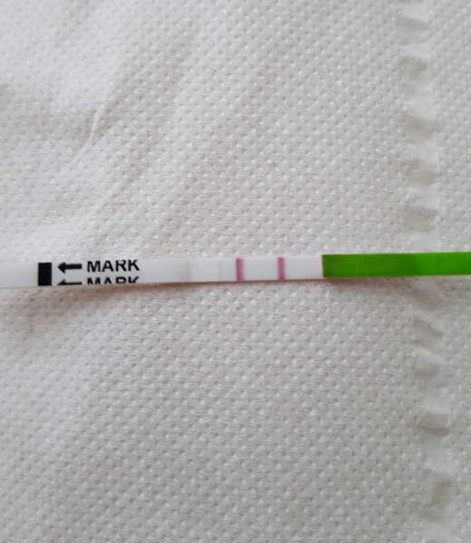 Is this OPK positive?