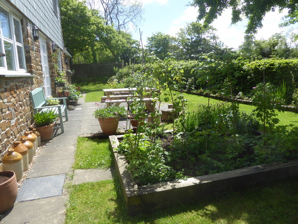 The first rule of potting shed is YOU ALWAYS talk about potting shed. The thread continues.