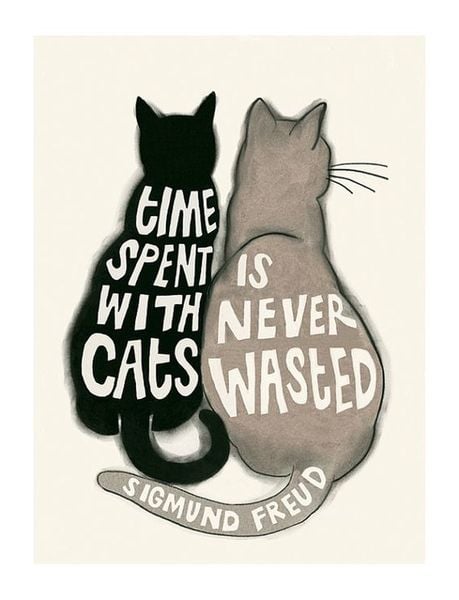 Can we have a funny cat stuff from the web thread?
