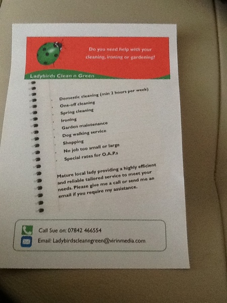 Cleaner Orpington / petts wood / Bromley areas