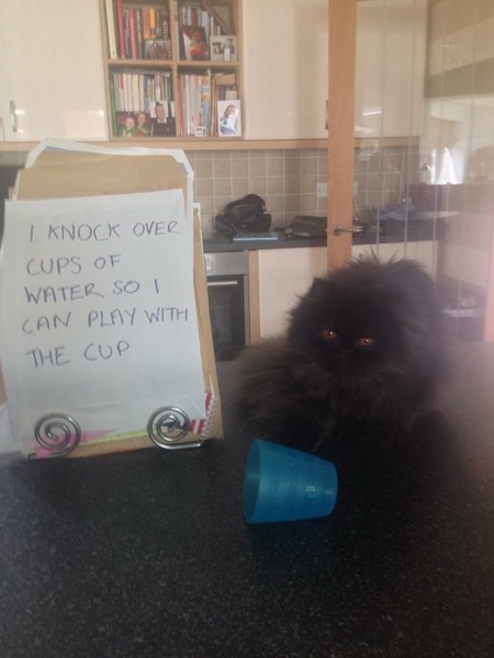 Facebook Live with Dermot O'Leary: Monday 25 September, 1pm