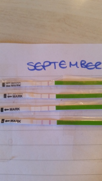 TTC #2 (September BFPs)