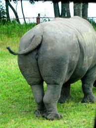 I would LOVE a conversation with an adult!