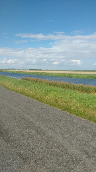 Photos taken on your cycle.