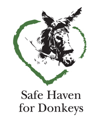 Online Auction for Safe Haven for Donkeys *now live*