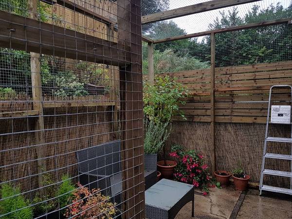 Would anyone like to see my catio??