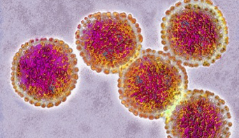 Flu vaccinations