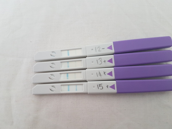 Are these opks getting darker?