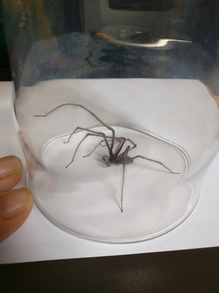 LOOK AT THIS BLOODY THING