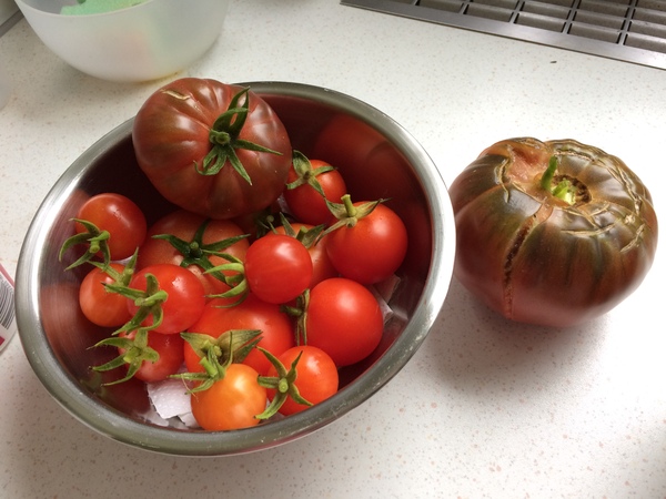 Allotment?Veg Patch Thread 10 - Plotmenters  busy into summer ! and loving James Wong