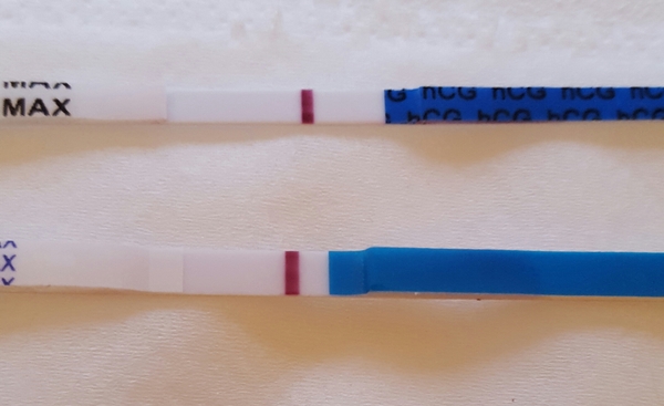 Any mid-sept testers?