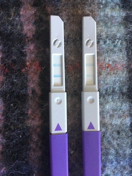 TTC after pregnancy loss - lucky thread 13