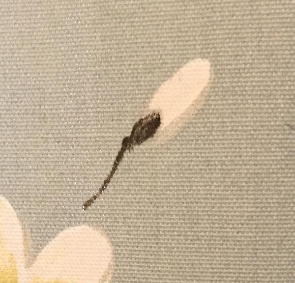 Just realised I've got sperm all over my curtains