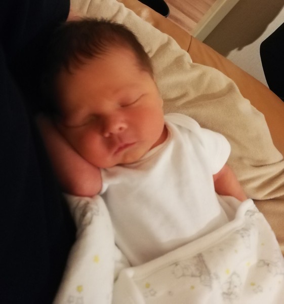 To clap my hands and skip about in a elephantine manner?