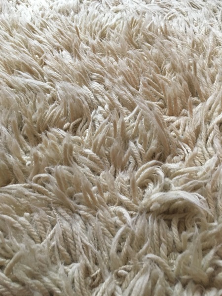 Shag pile rug - help!