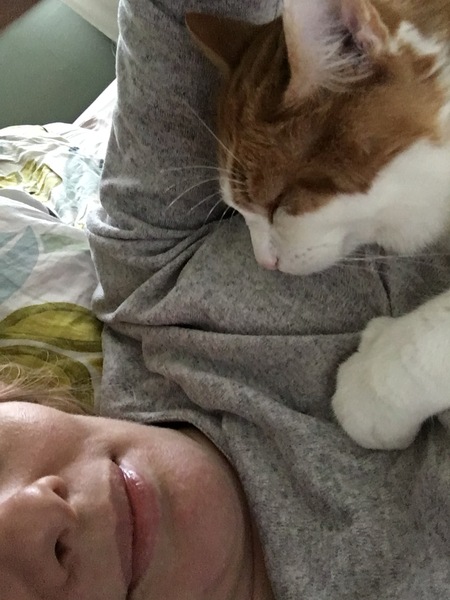 Nervy cat and preparing for first baby
