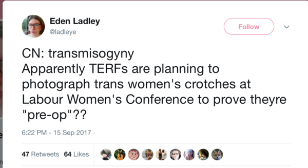 What causes women to become trans activists?