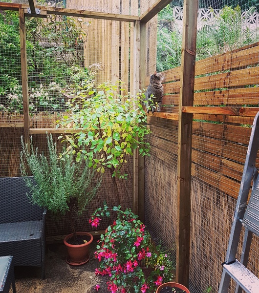 Would anyone like to see my catio??