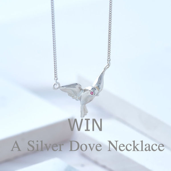 WIN a designer silver Dove necklace worth £70.00